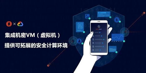 加密世界的數(shù)據(jù)綠洲 Oasis Network能否顛覆聯(lián)盟鏈的數(shù)據(jù)處理與存儲(chǔ)格局？